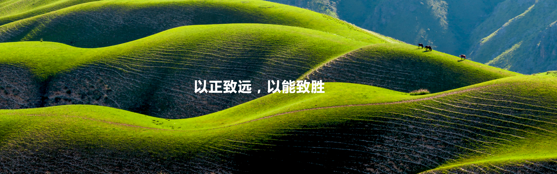 广告标题